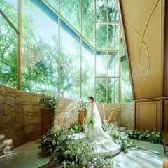 26年9月～26年11月 シーズンプラン