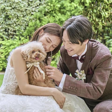 NEEDS白金 by T&G WEDDING(旧 アーフェリーク白金)