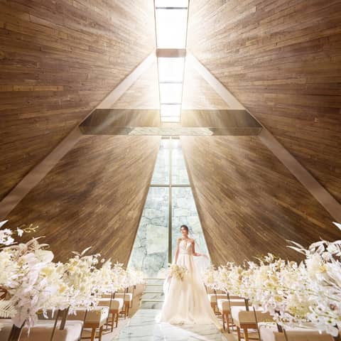 アーフェリーク白金