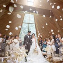 アーフェリーク白金