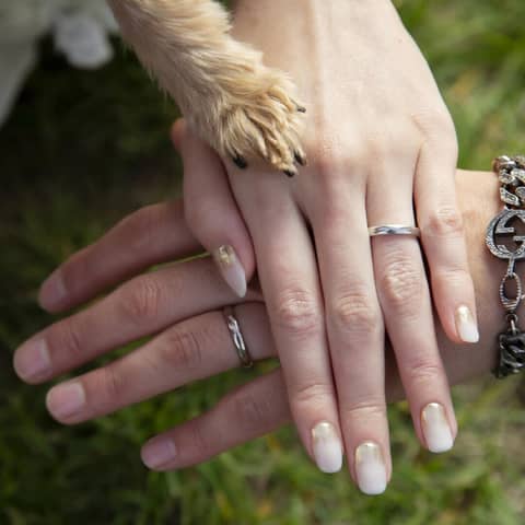 藻岩シャローム教会