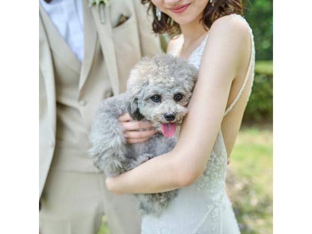 NEEDS郡山 by T&G WEDDING(旧 アーククラブ迎賓館 郡山)