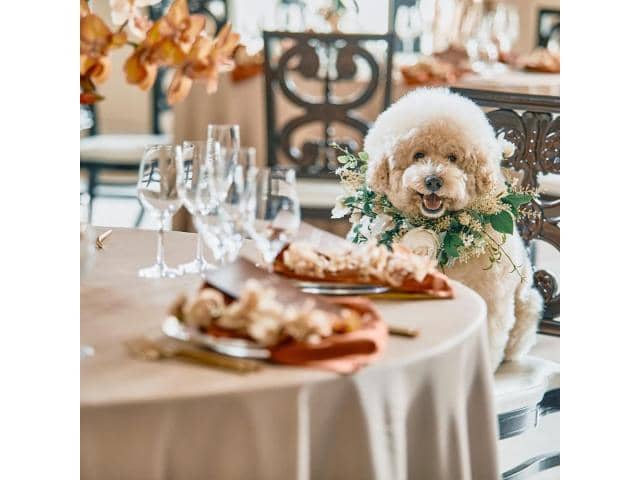 NEEDS郡山 by T&G WEDDING(旧 アーククラブ迎賓館 郡山)