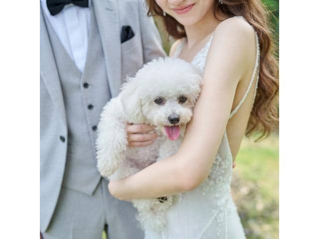 NEEDS郡山 by T&G WEDDING