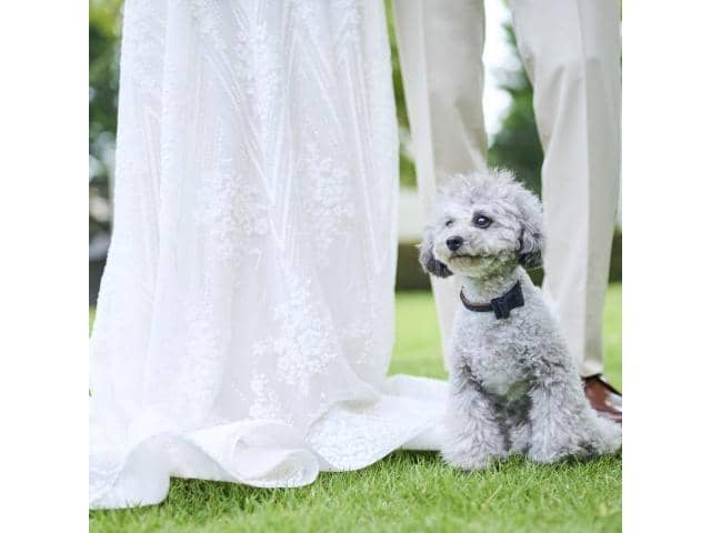 NEEDS新潟 by T&G WEDDING(旧 アーククラブ迎賓館 新潟)