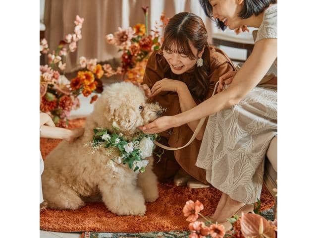 NEEDS新潟 by T&G WEDDING(旧 アーククラブ迎賓館 新潟)