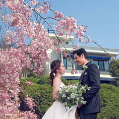 ≪完売間近≫26年2月まで シーズンプラン