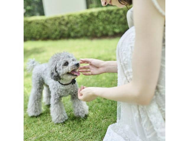 NEEDS浜松 by T&G WEDDING(旧 アーセンティア迎賓館 浜松)