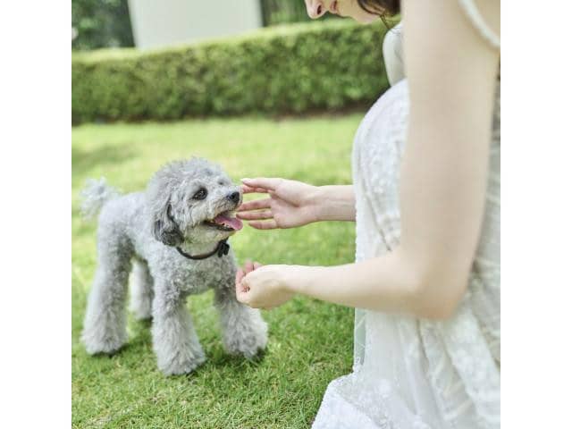 【公式】アーセンティア迎賓館（浜松）｜静岡県の結婚式場