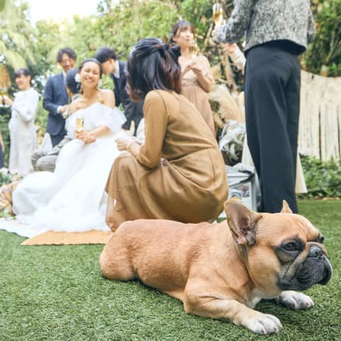 【ペットと叶える結婚式】貸切ガーデンや独立型チャペルで過ごせるプラン♪