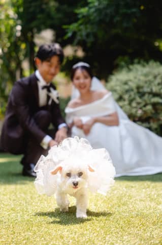 【ペットと叶える結婚式】貸切ガーデンや独立型チャペルで過ごせるプラン♪
