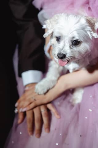 【ペットと叶える結婚式】貸切ガーデンや独立型チャペルで過ごせるプラン♪