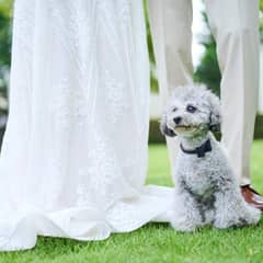 【ペット婚プラン♪】貸切邸宅で大切なペットと過ごすウエディングプラン