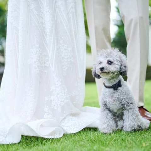 【ペット婚プラン♪】貸切邸宅で大切なペットと過ごすウエディングプラン