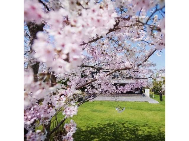 【公式】樫野倶楽部｜徳島県の結婚式場