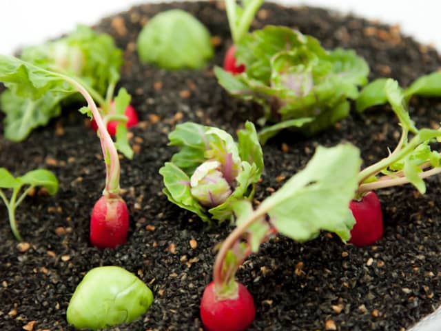 DAZZLE(ダズル)|レストランウェディング【銀座】