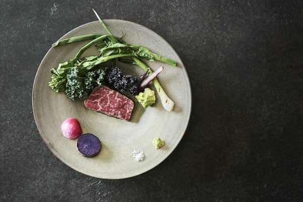 SCAPES THE SUITE (スケープス ザ スィート)