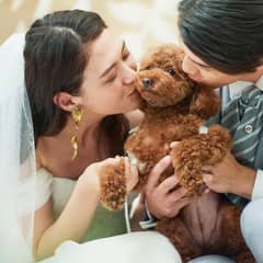 【愛犬愛猫と一緒に】ペットwedding◆挙式＆会食(20名99万）