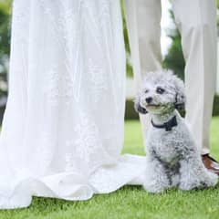 【ペットWプラン】～大切なペットと一緒に過ごせる結婚式～
