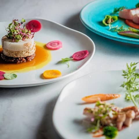 ≪空き日残り僅か≫26年10月～26年12月 シーズンプラン