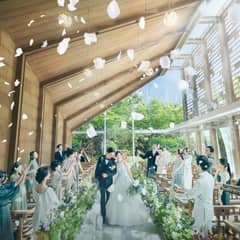 ≪空き日無くなり次第終了≫26年6月～26年8月 シーズンプラン