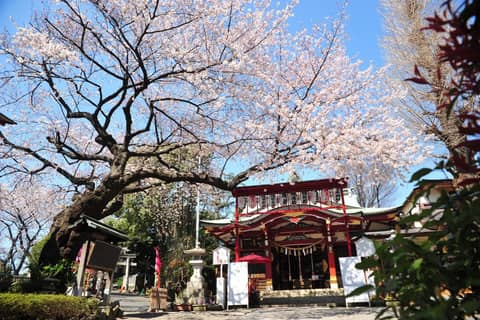 ～本物の神髄を味わう～ 神前式×ジョエル・ロブションウェディング