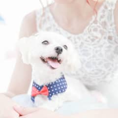 【〜2025年12月まで】愛犬と叶えるガーデンBBQプラン！