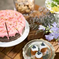 【公式】ディアズ水戸スパニッシュガーデン|茨城県水戸市 結婚式場