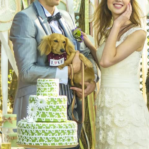  【公式】ディアズ水戸スパニッシュガーデン｜茨城県水戸市 結婚式場