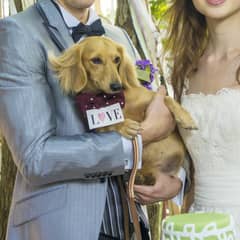 【いつでもご利用可能】大切な家族と結婚式が叶うペット婚プラン