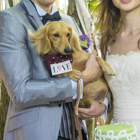 【いつでもご利用可能】大切な家族と結婚式が叶うペット婚プラン