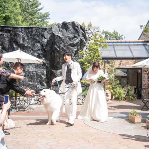 【いつでもご利用可能】大切な家族と結婚式が叶うペット婚プラン