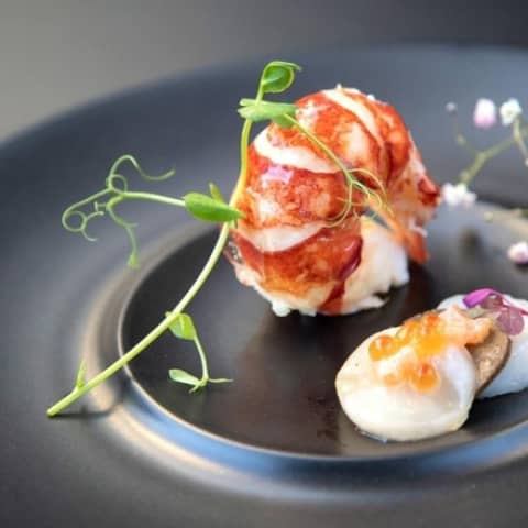 【通年・110名333万円】＼料理重視×おもてなし／特別特典付きプラン