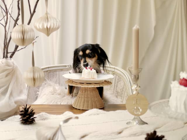 熊本県の結婚式場｜KUMAMOTO WEDDING　by BLD WEDDING