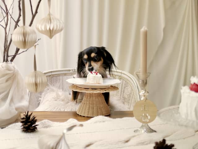 熊本県の結婚式場|KUMAMOTO WEDDING by BLD WEDDING