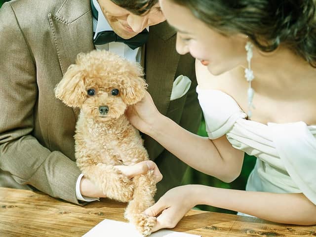 熊本県の結婚式場｜KUMAMOTO WEDDING　by BLD WEDDING