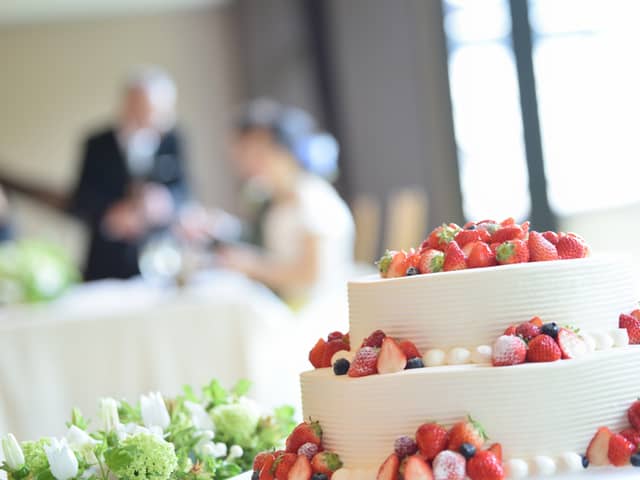 鶴羽根神社 二葉
