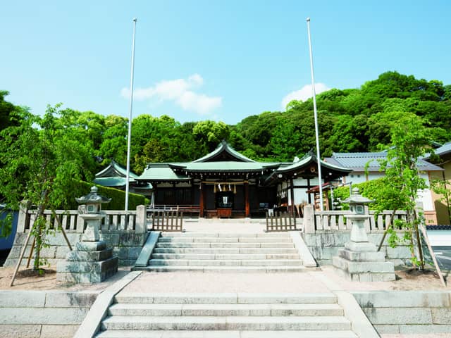 鶴羽根神社 二葉