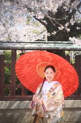 2026年Springwedding ＊ 4月～6月 ＊ 80名