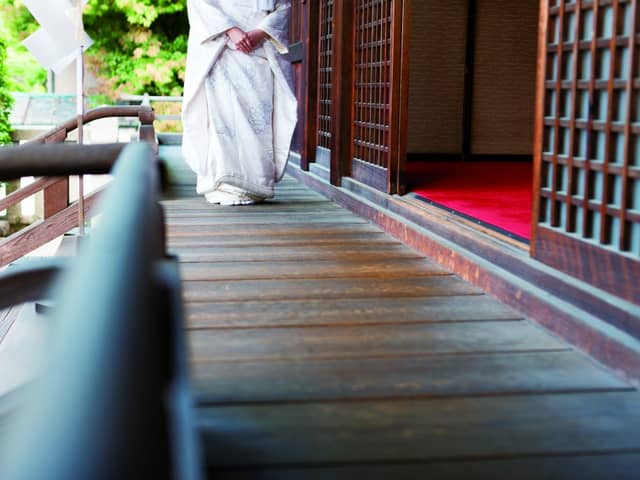 鶴羽根神社 二葉