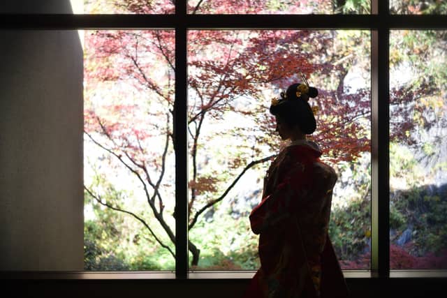 鶴羽根神社 二葉