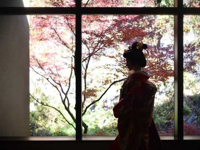 鶴羽根神社 二葉