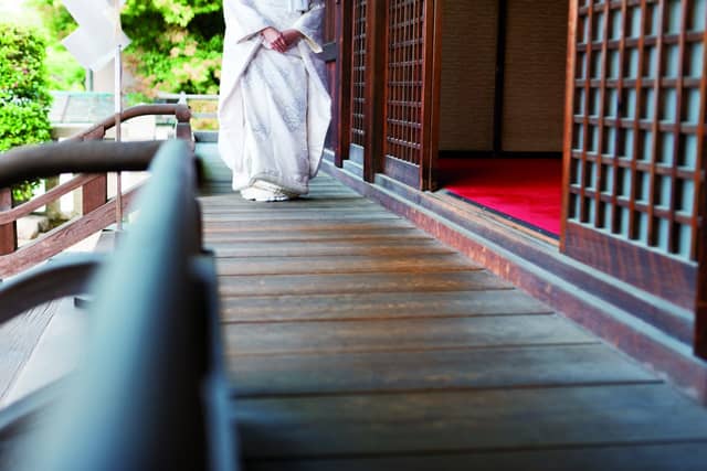 鶴羽根神社 二葉