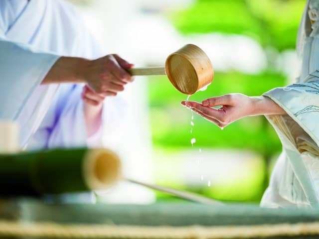 鶴羽根神社 二葉