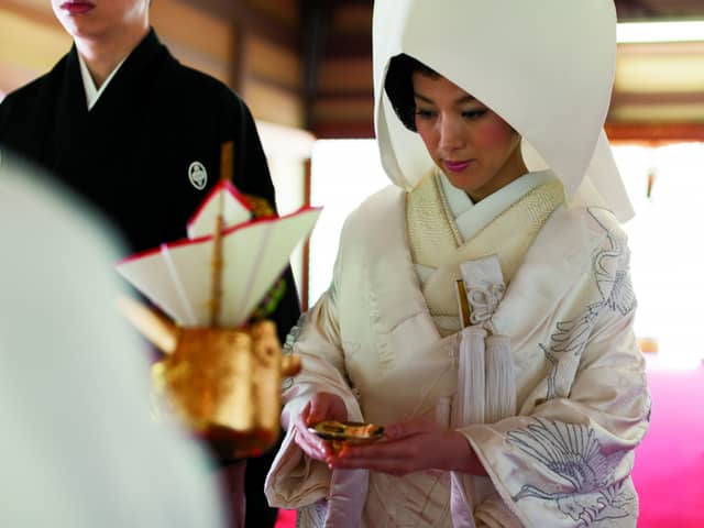 鶴羽根神社 二葉