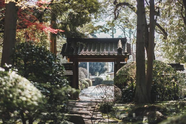 Sport ＆ Do Resort リソルの森｜千葉の結婚式