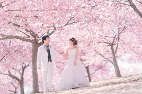 〖Spring Plan〗2025年3月4月5月の人気シーズン❀春婚