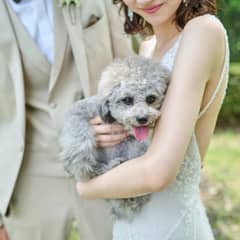【公式HP限定】愛犬も祝福*ペット参加プラン◆内容充実フルパッケージ♪