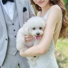 【公式HP限定】愛犬も祝福*ペット参加プラン◆内容充実フルパッケージ♪