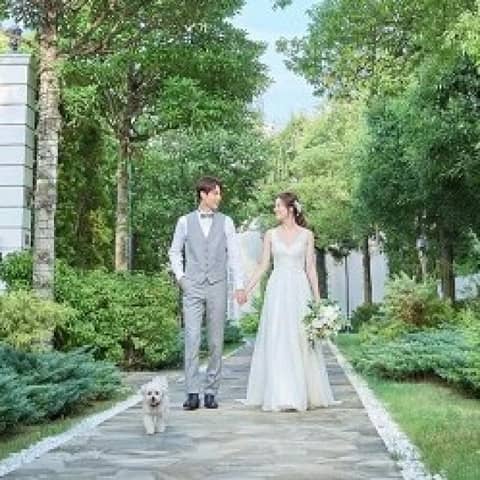 【公式HP限定】愛犬も祝福*ペット参加プラン◆内容充実フルパッケージ♪
